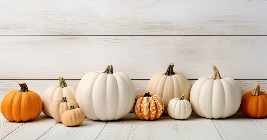 Seasonal pumpkins arranged against white wood