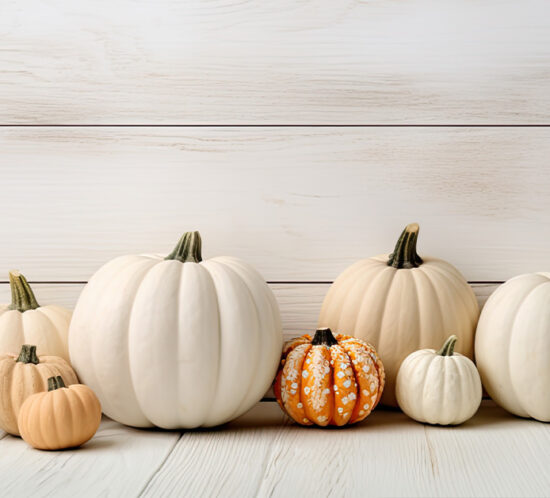 Seasonal pumpkins arranged against white wood