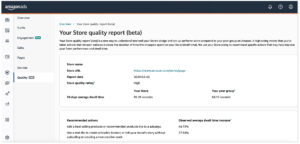 Amazon Advertising Brand Store Insights Quality Report Beta
